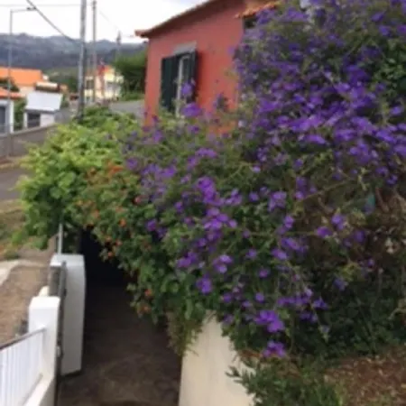 Little Norway In Madeira Holiday home Arco da Calheta (Madeira)