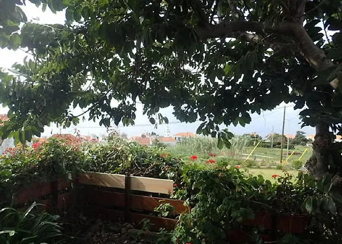 Little Norway In Madeira Сasa de vacaciones Arco da Calheta (Madeira)