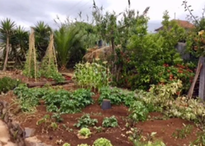 Little Norway In Madeira * Arco da Calheta (Madeira)