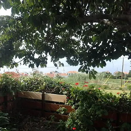 Little Norway In Madeira 度假居 阿科达卡列塔
