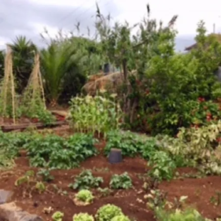 Little Norway In Madeira * Arco da Calheta (Madeira)