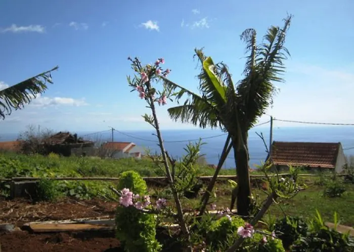 Casa vacanze Little Norway In Madeira