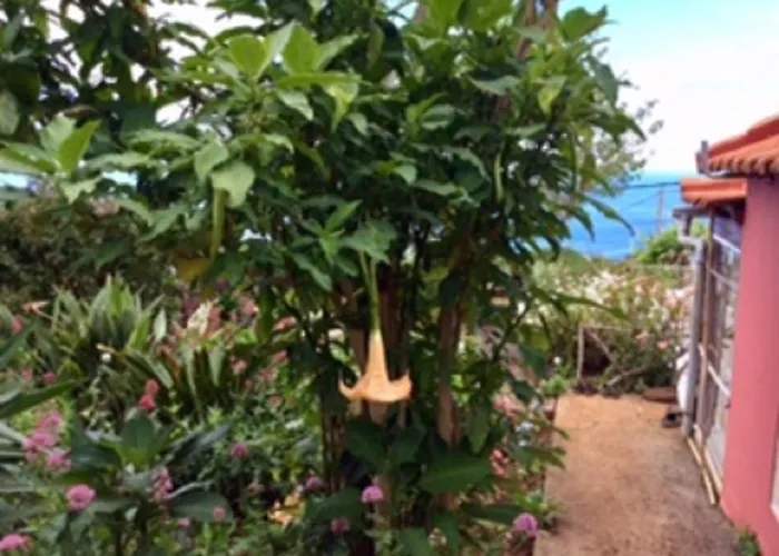 Casa vacanze Little Norway In Madeira Arco da Calheta (Madeira)