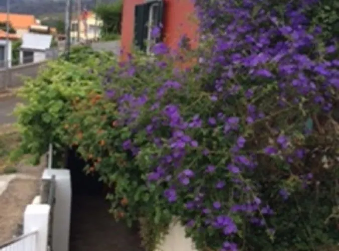 Little Norway In Madeira Prázdninový dům Arco da Calheta (Madeira)